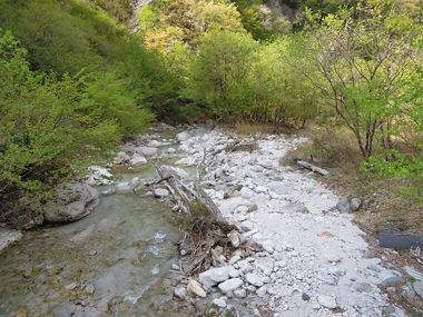 白州・尾白川