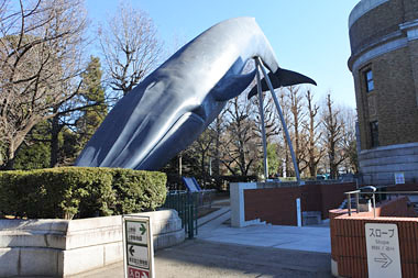 南方熊楠展