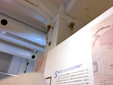 南方熊楠展